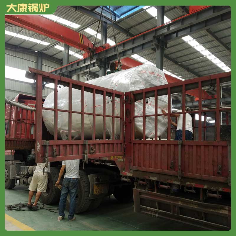 6t生物质燃料新利（中国）