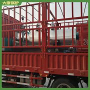 天津十二吨低氮蒸汽新利（中国）