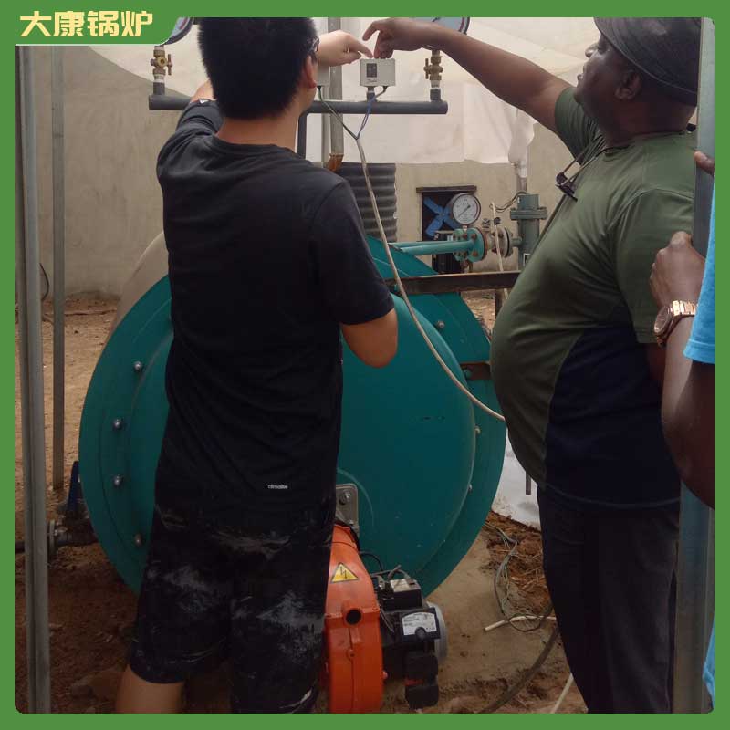 四吨生物质蒸汽新利（中国）