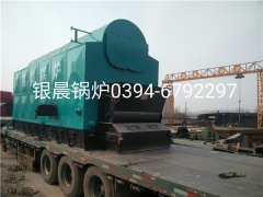 DZL6-1.25-T型6吨链条式生物质蒸汽新利（中国）发货