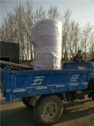 20万大卡燃气热水新利（中国）发货