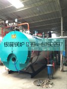 WNS2-1.25-Q型2吨燃气蒸汽新利（中国）安装现场