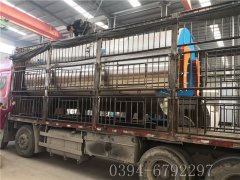 6吨燃气蒸汽新利（中国）