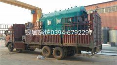 DZH2-1.25-T型2吨生物质蒸汽新利（中国）发货
