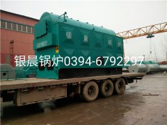 DZH4-1.25-T型4吨生物质蒸汽新利（中国）发货